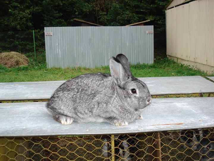 img00014.jpg