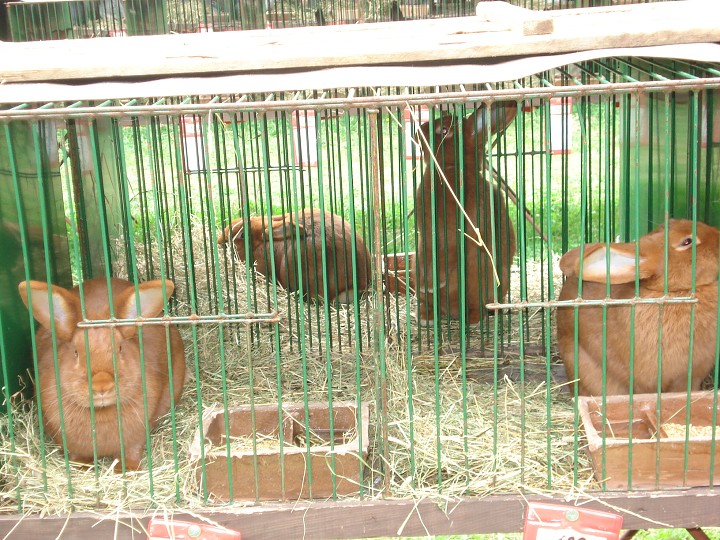 img00019.jpg