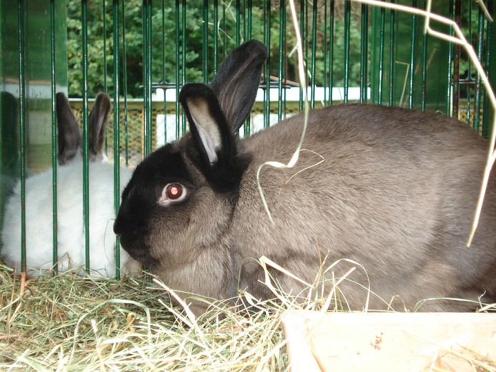 img00021.jpg