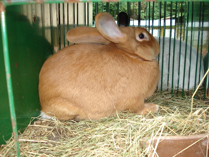 img00022.jpg