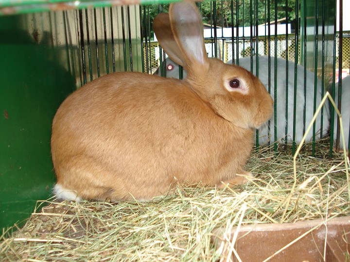 img00023.jpg