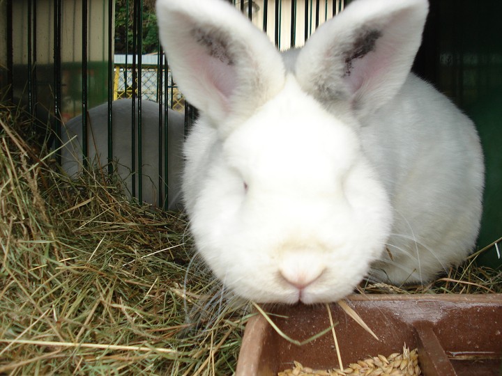img00025.jpg