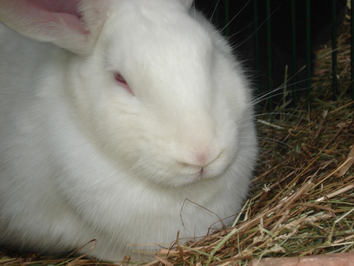 img00027.jpg