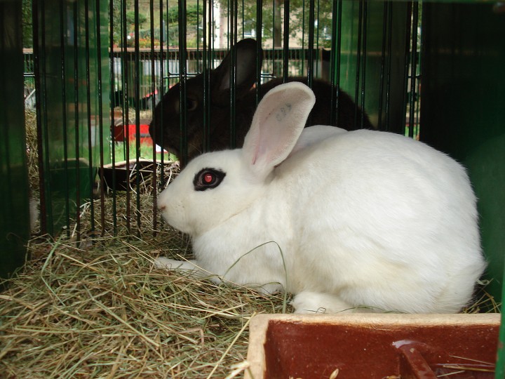 img00028.jpg